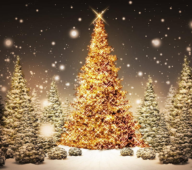XMAS LIGHTS, bokeh, christmas, light, shine, snow, tree, wood, HD wallpaper