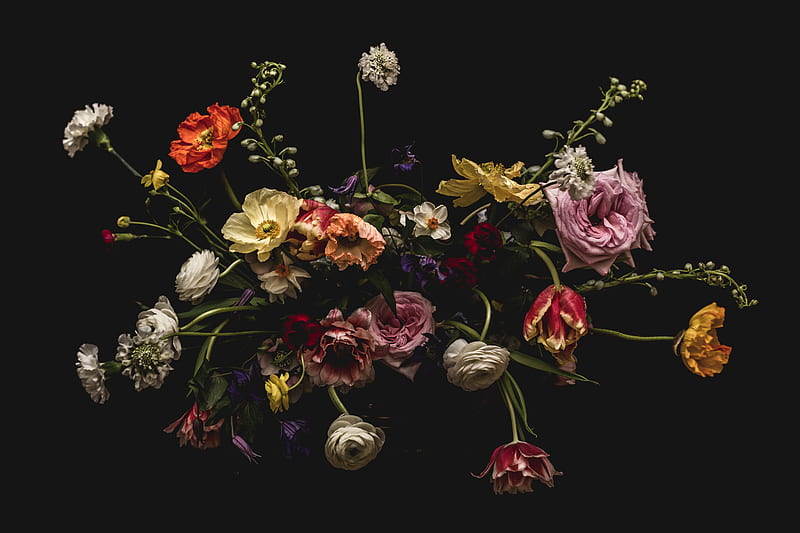 flowers, composition, bouquet, colorful, HD wallpaper