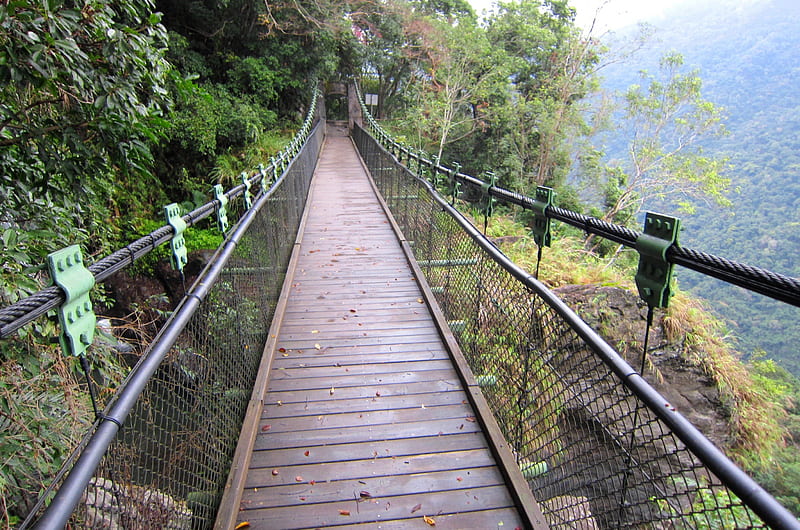 Suspension bridge, mountain climbing, tree, flesh air, HD wallpaper