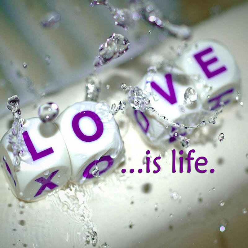 Love is Life, cute love, ice cubes, icy love, love theme, saying, HD phone wallpaper