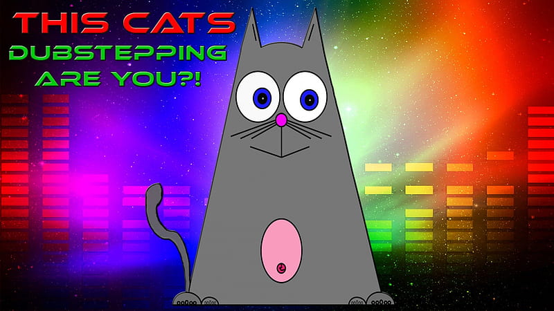 DubStepping cat , stars, music, space, dubstepping, cat, enjoymuff, dubstep, new, dub, HD wallpaper