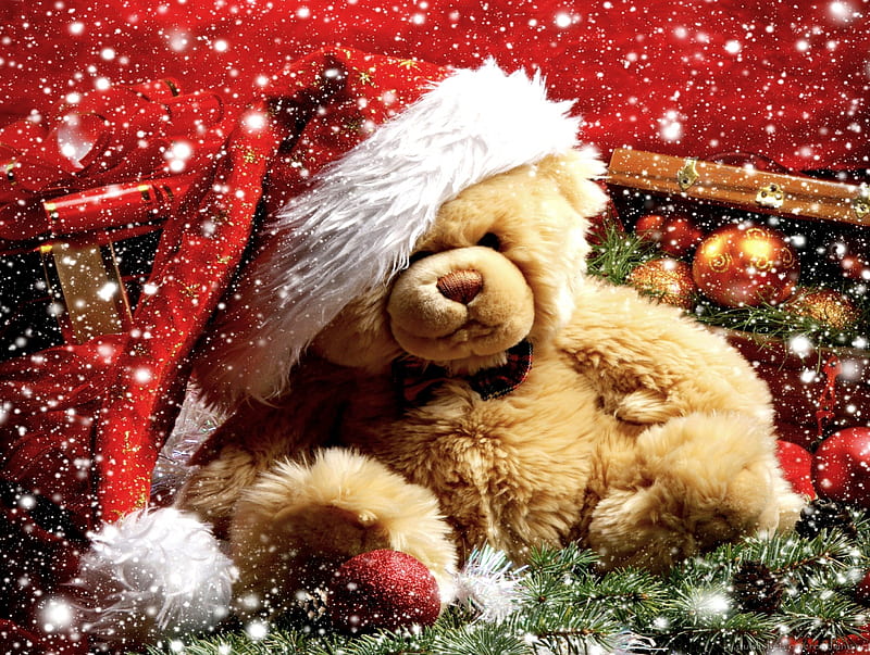 MERRY CHRISTMAS, Cute, Christmas, Bear, Teddy, background, HD wallpaper