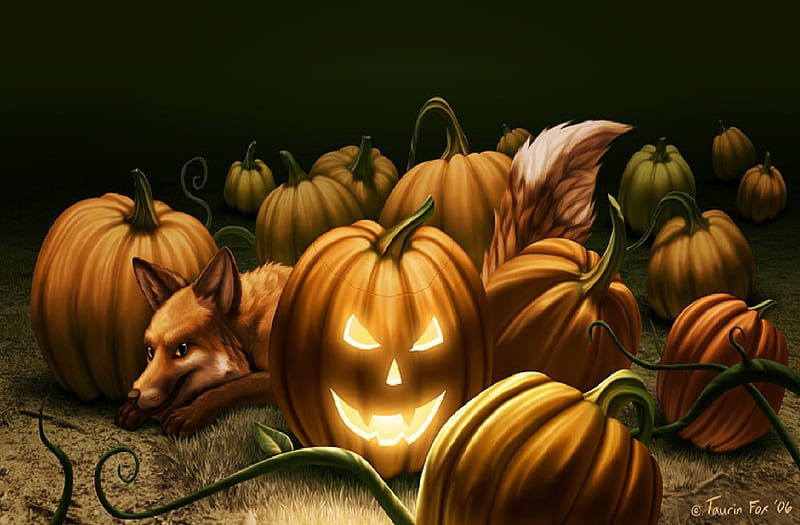Fox In The Pumpkin Patch, fantasy, fox, halloween, pumpkins, HD wallpaper