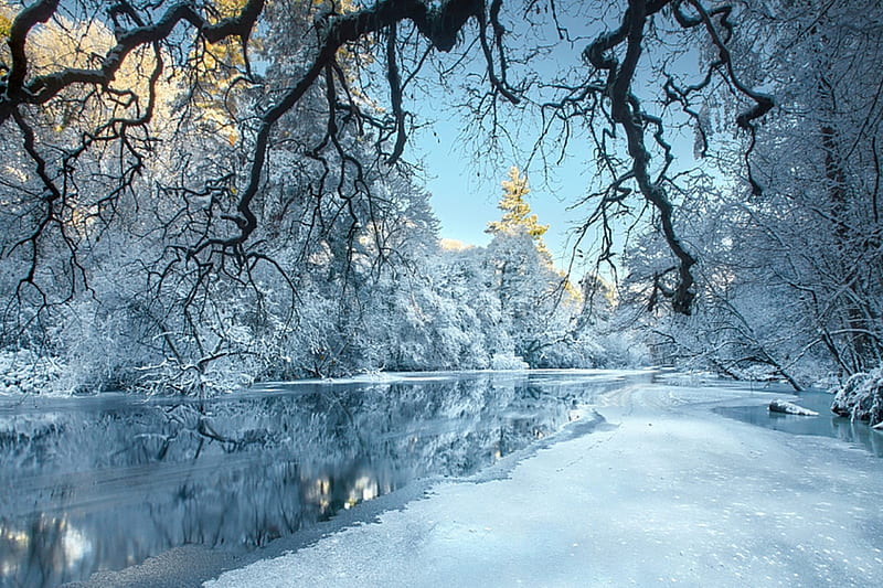 Winter, Forest, trees, River, ice, Snow, white, blue, frost, HD wallpaper