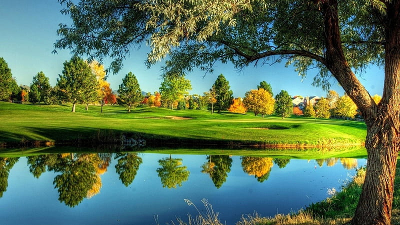 River Reflecting The Autumn Fields, fall, grass, bonito, trees, meadows, water, golf course, river, reflection, tranquility, HD wallpaper