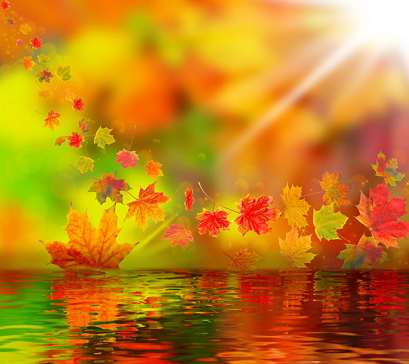 Autumn Scenery, nature leafs, water, HD wallpaper | Peakpx