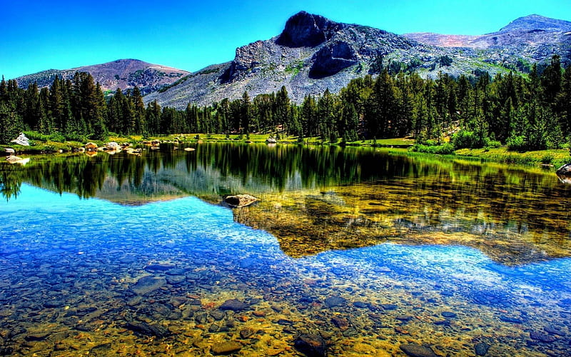 beautifully clear lake r, mountain, forest, stones, clear, r, reflection, lake, HD wallpaper