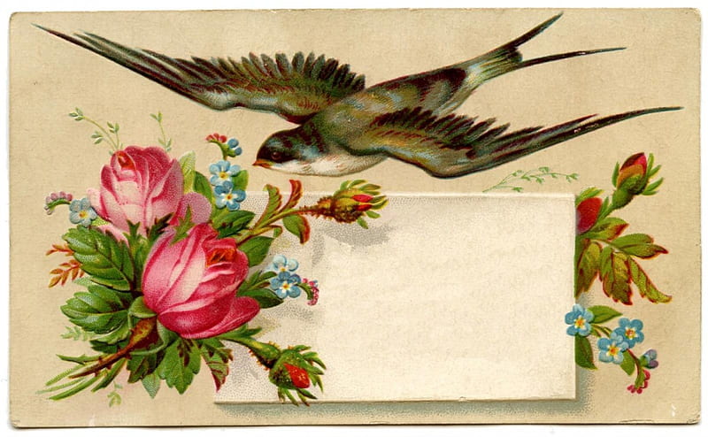 Victorian Calling Card ~ Swallow and Roses, Vintage, Card, Roses, Victorian, Bird, Swallow, HD wallpaper