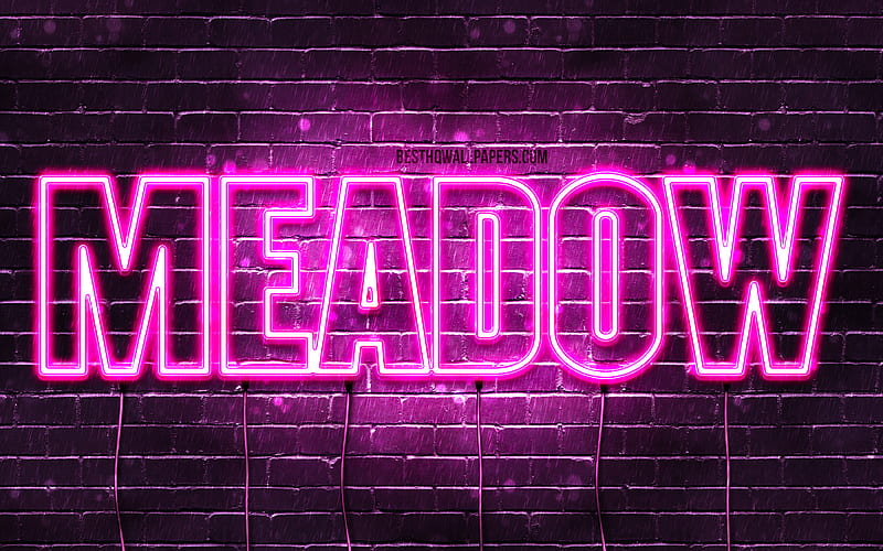 Meadow with names, female names, Meadow name, purple neon lights, horizontal text, with Meadow name, HD wallpaper