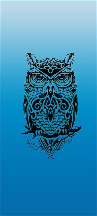 Celtic Owl, avenged, blue, owls, roses, skull, skulls, sova, tattoo, HD  phone wallpaper | Peakpx