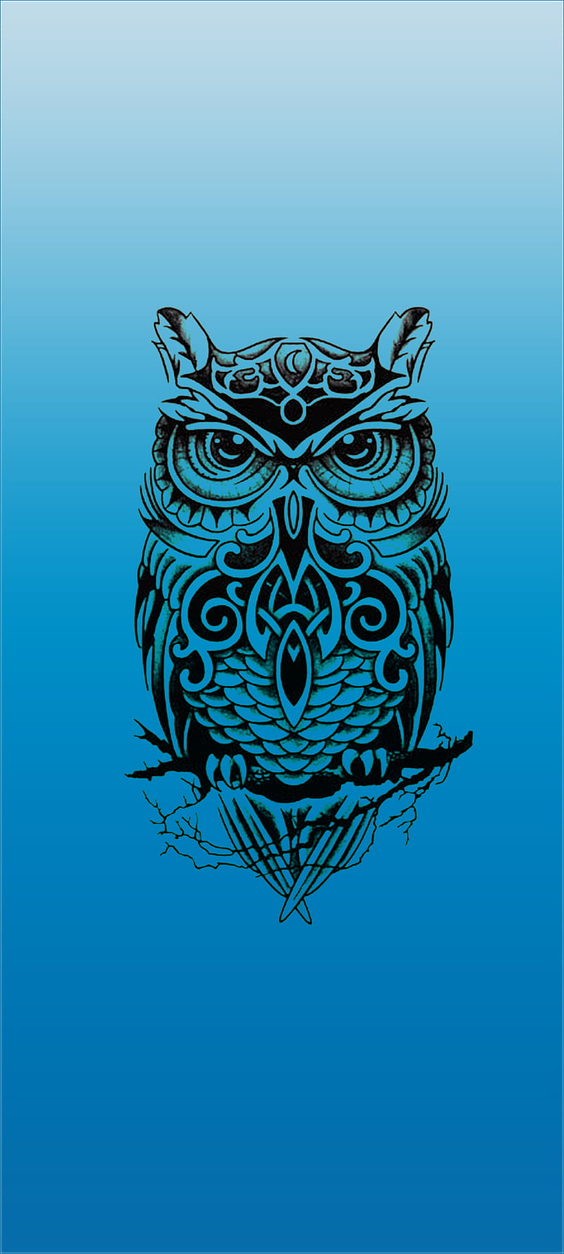 Celtic Owl, avenged, blue, owls, roses, skull, skulls, sova, tattoo, HD phone wallpaper