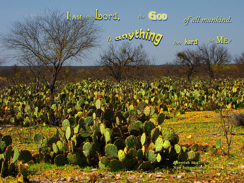 God Can Do Anything, Bible, ranchland, cactus, ranch, prickly pear cactus, HD wallpaper