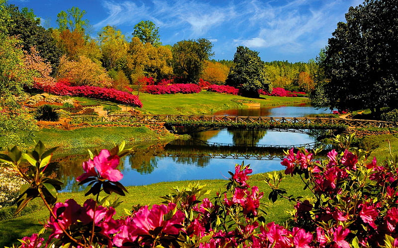 Beautiful Garden Lake, lakes, flowers, gardens, nature, trees, HD wallpaper