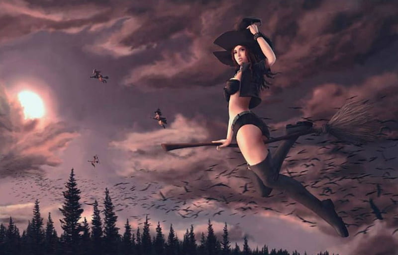THE WITCHING HOUR, FANTASY, BROOM, FLYING, BATS, WITCH, MOON, TREES, NIGHT, HD wallpaper