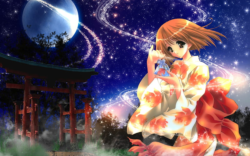 https://w0.peakpx.com/wallpaper/13/598/HD-wallpaper-beautiful-anime-girl-on-a-enchanting-night-stars-japanise-moon-girl-anime-enchanted-night.jpg