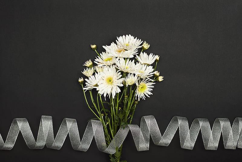 chrysanthemum, flowers, bouquet, ribbon, white, HD wallpaper