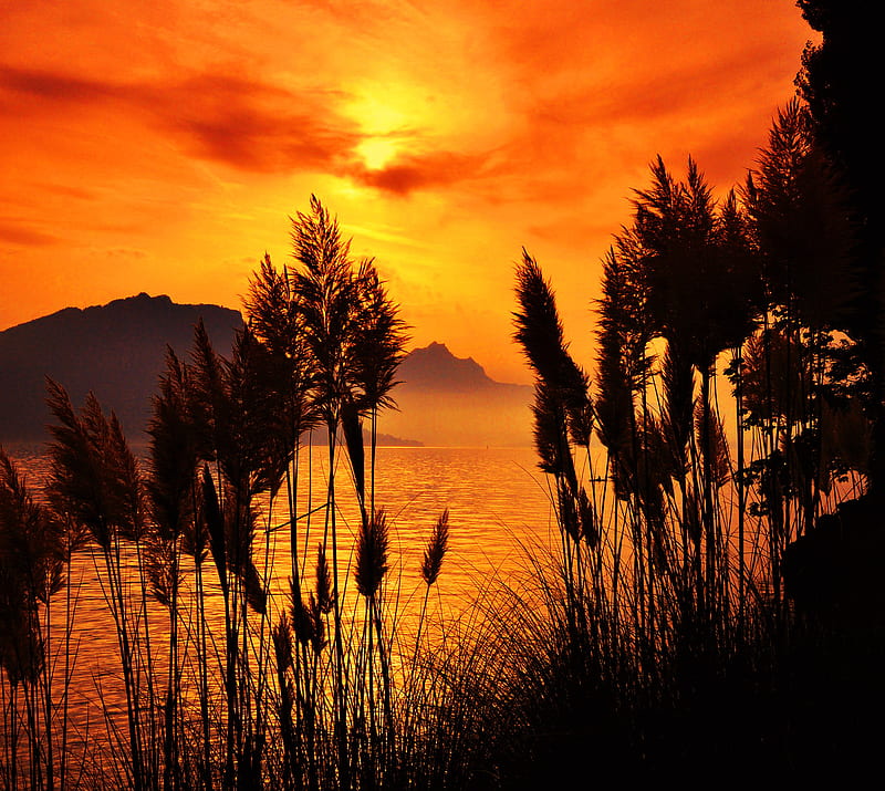 Fiery sky, grass, lake, orange, reflection, river, shore, sunrise, sunset, HD wallpaper