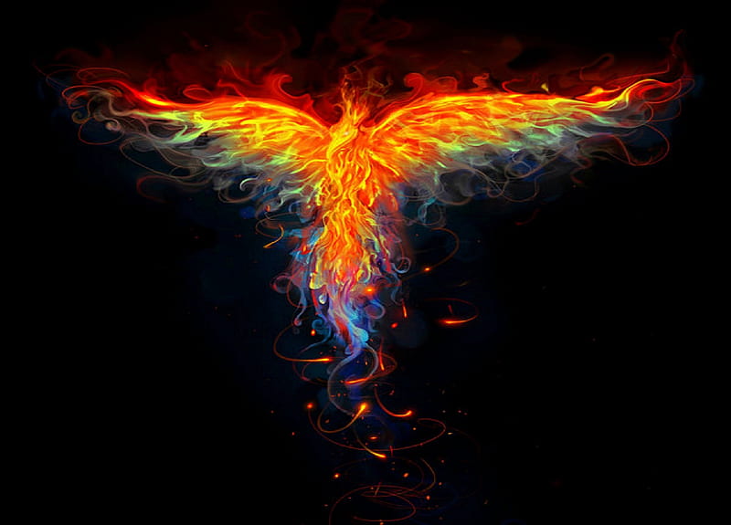 'Wings Flames Emerge', fantasy arts, emerge, colorful, burn, flying bird, phoenix, paintings animals, attractions in dreams, digital art, winged, fire, fantasy, paintings, flames, feather, bright, HD wallpaper