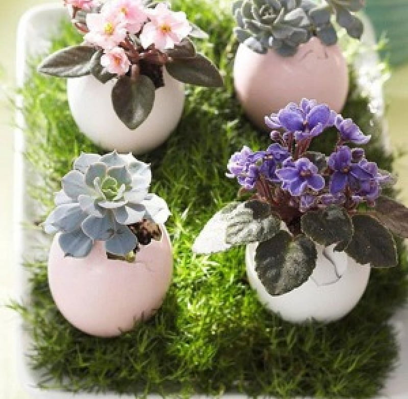 Floral decoration, green, grass, plants, eggs, flowers, arrangement, easter, small, HD wallpaper