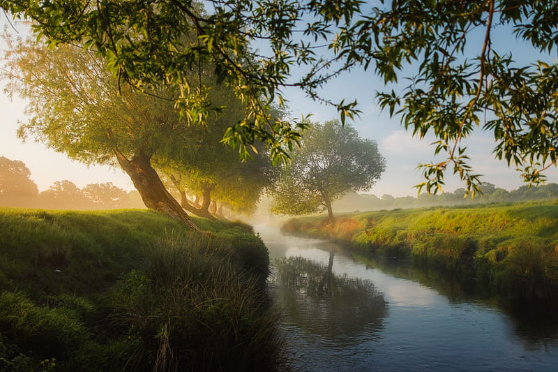 Small River Trees Dreamy, trees, nature, graphy, HD wallpaper