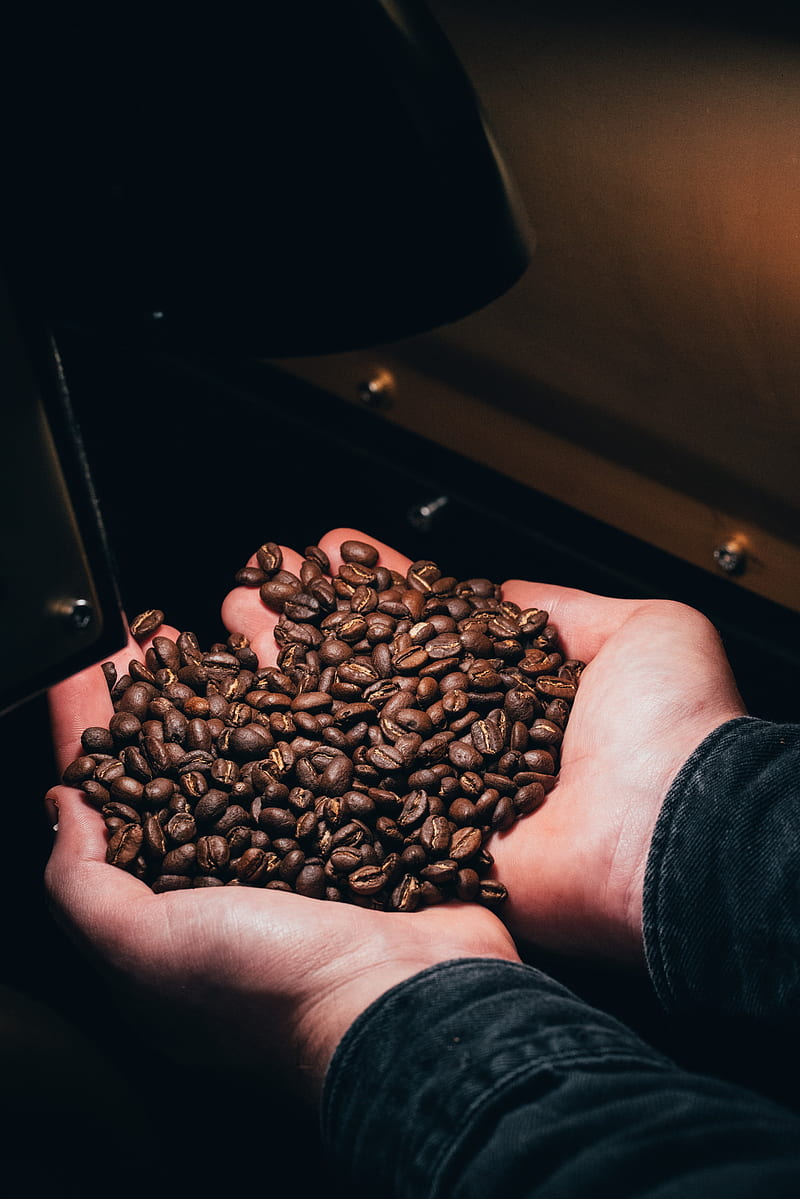 coffee beans, coffee, hands, HD phone wallpaper