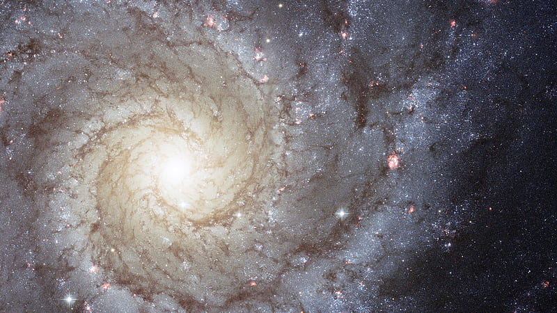 Glistening Galaxy With Brown Spiral Galaxy, HD wallpaper