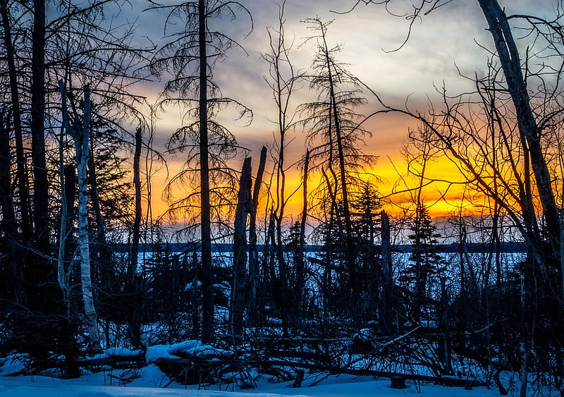Sunset in Northern Saskatchewan, Canada, colors, snow, trees, sky, landscape, HD wallpaper