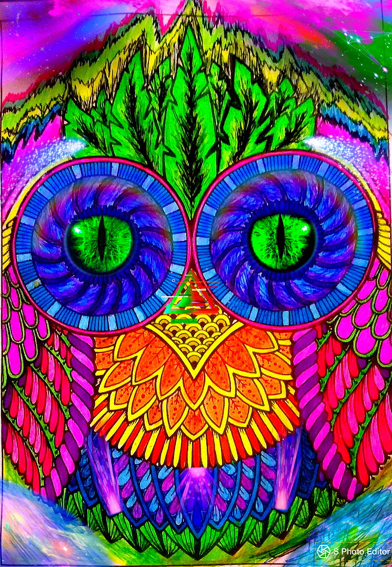 Owl of Tron, birds, color, cool, cute, neon, owls, space owl, trippy, HD phone wallpaper