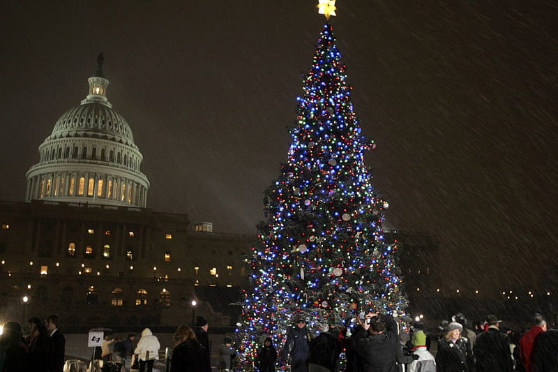 Christmas Washington DC, Christmas, holiday, Washington, lights, tree, Capitol, United States, blue, night, HD wallpaper