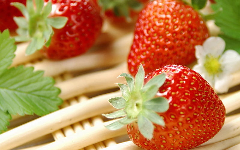 strawberries berry ripe-Food, HD wallpaper