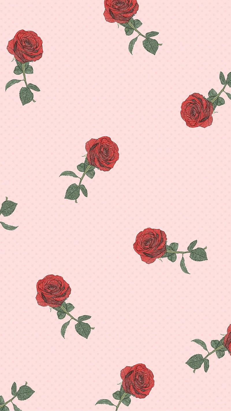 Aesthetic Red Roses White Background  Largest Portal Aesthetic Black and Red  Rose HD phone wallpaper  Pxfuel