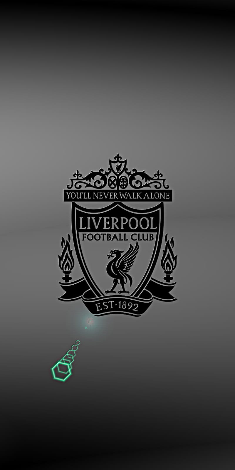 Liverpool FC, champion, champions league, england, liverpool, red, the kop, world, HD phone wallpaper