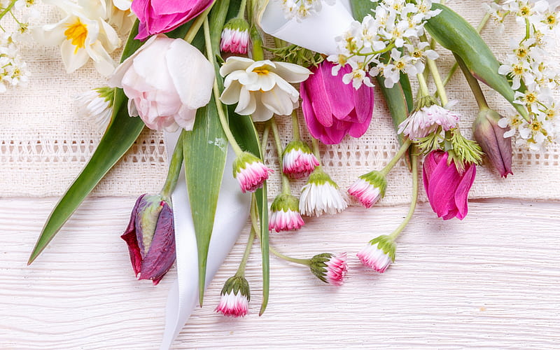 spring flowers, tulips, pink flowers, floral background, HD wallpaper