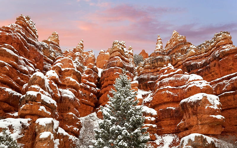 snow in red canyon state park in utah, rocks, cliffs, snow, trees, canyon, HD wallpaper