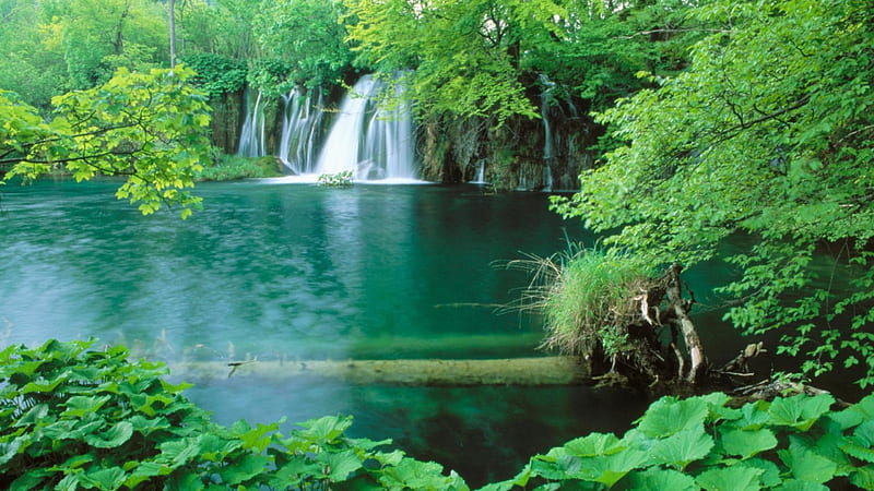 Plitvice National Park, Croatia, forest, trees, lake, waterfalls, log, daylight, water, day, nature, blue, falls, HD wallpaper