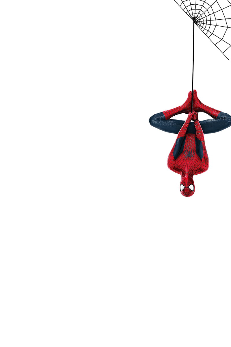 spiderman, cartoon, cute, web, HD phone wallpaper