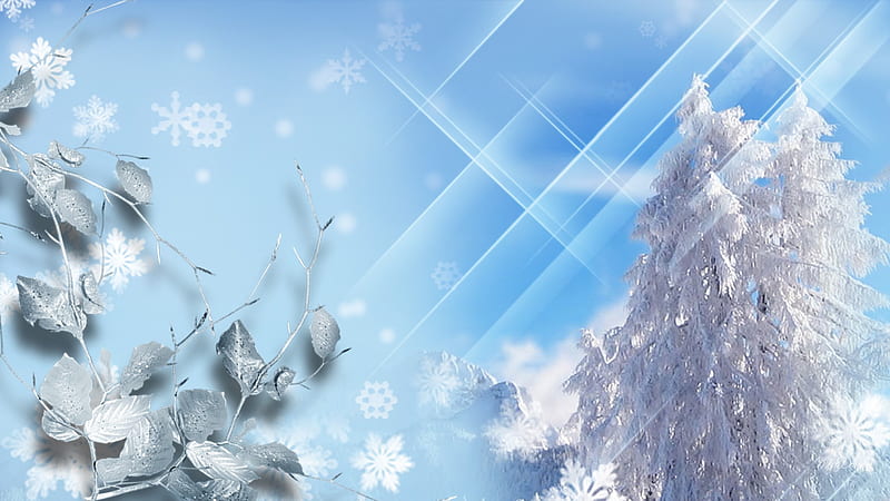 Winter World, stars, christmas, trees, sky, winter, cold, sparkle, leaves, snowing, snow, snowflakes, mountains, bright, ze, frozen, blue, HD wallpaper