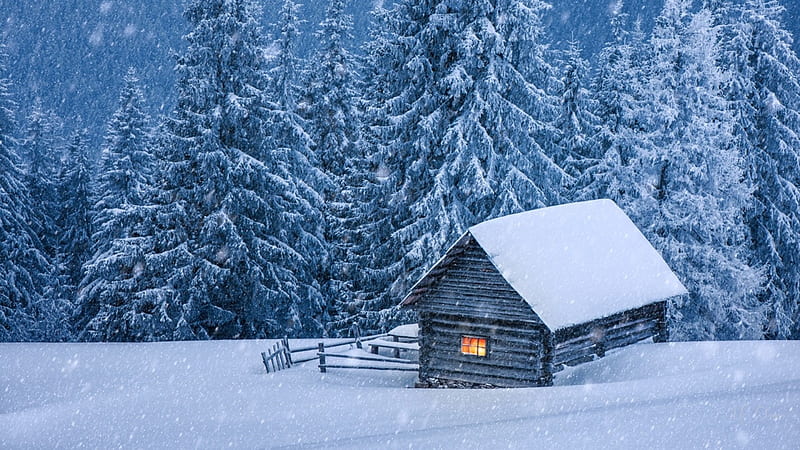 Snowed Inn, forest, house, cozy, cottage, retreat, woods, cabin, trees, winter, snow, HD wallpaper