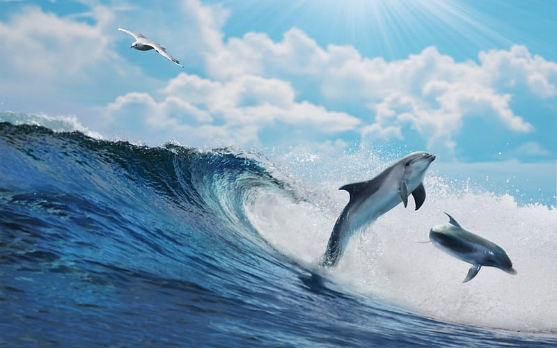 Wave and dolphins, cloud, ocean, seagull, sky, sea, wave, dolphin, summer, blue, HD wallpaper