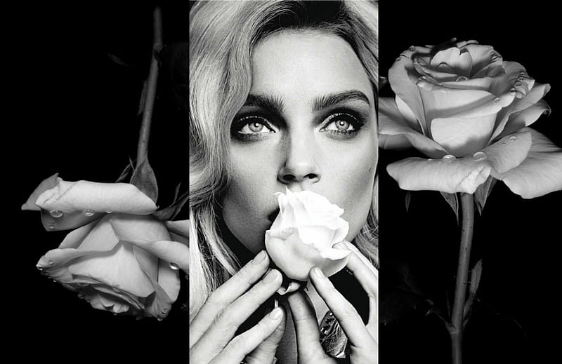 Jessica Stam, model, rose, black, collage, cehenot, woman, girl, flower, beauty, white, HD wallpaper