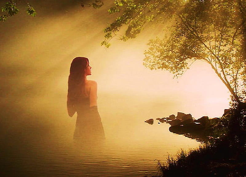 Lady of the lake, tree, gold light, rays, myth, woman, lake, mist, HD wallpaper