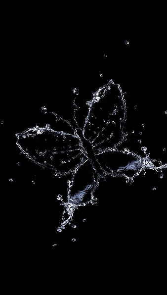 Butterfly, animal, apple, black, fine, transparent, water, HD phone  wallpaper | Peakpx