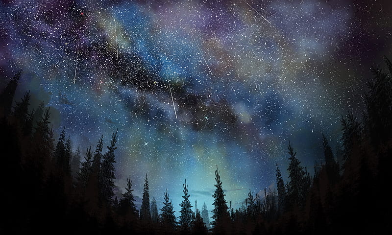 stars, trees, sky, night, Space, HD wallpaper
