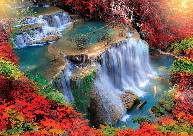 Looking Apone, autumn, water, down, looking, falls, HD wallpaper
