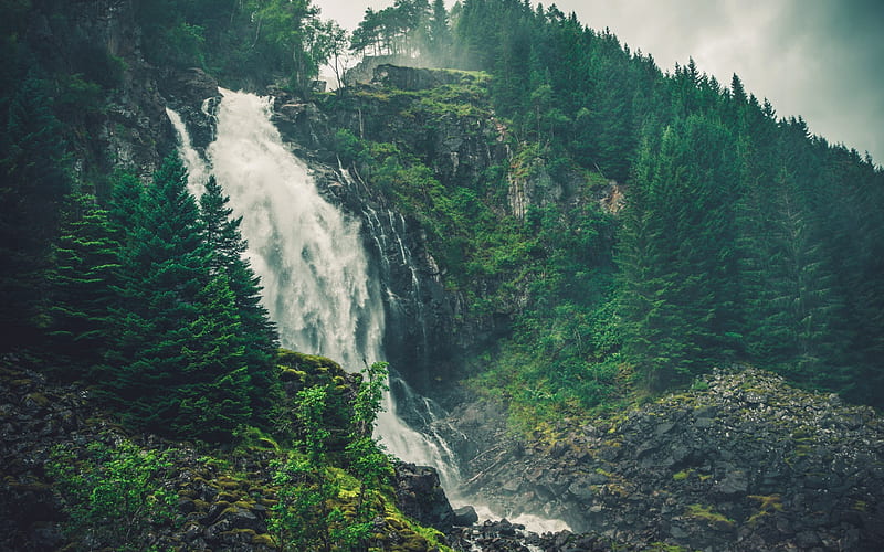 waterfall, rock, forest, falling water, HD wallpaper