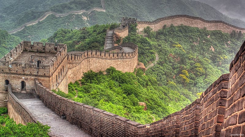 the wall of china, forest, towers, hills, stairs, trees, bricks, HD wallpaper