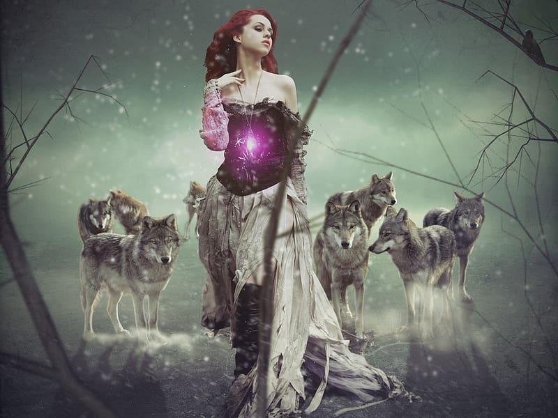 :), purple, girl, wolf, fantasy, lup, HD wallpaper