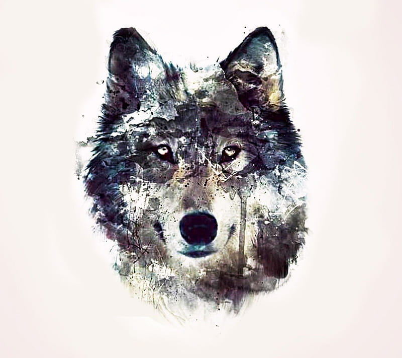 wolf art friendship, quotes, pack, dog, lobo, arctic, maned wolf nature, black, abstract, winter, timber, snow, wolf , wolfrunning, wolf, white, lone wolf, howling, wild animal black, howl, canine, wolf pack, solitude, gris, the pack, mythical, majestic, wisdom beautiful, spirit, canis lupus, grey wolf, wolves, wisdom, HD wallpaper