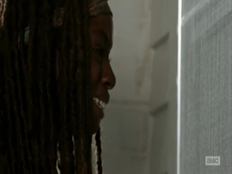 Michonne, The Walking Dead, entertainment, TV series, HD wallpaper