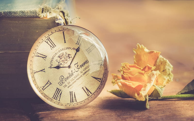 old clock, withered yellow rose, time concepts, retro style, old book, HD wallpaper